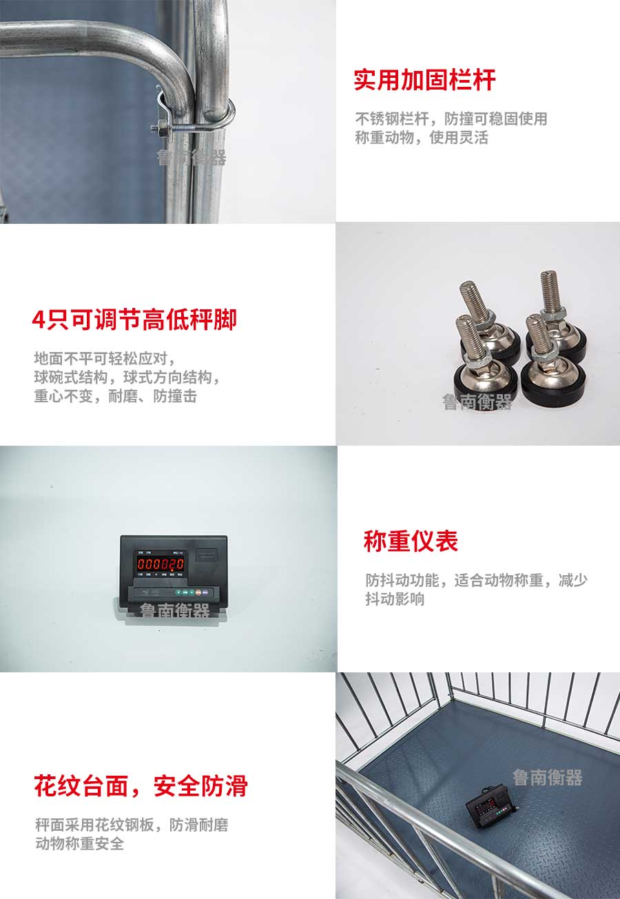 牲畜秤魯南衡器牲畜秤廠家技術(shù)服務(wù)安裝調(diào)試